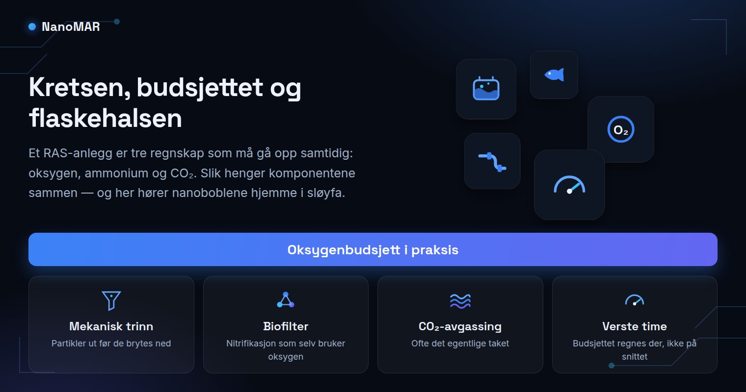 RAS-anlegg forklart: kretsen, oksygenbudsjettet og flaskehalsene