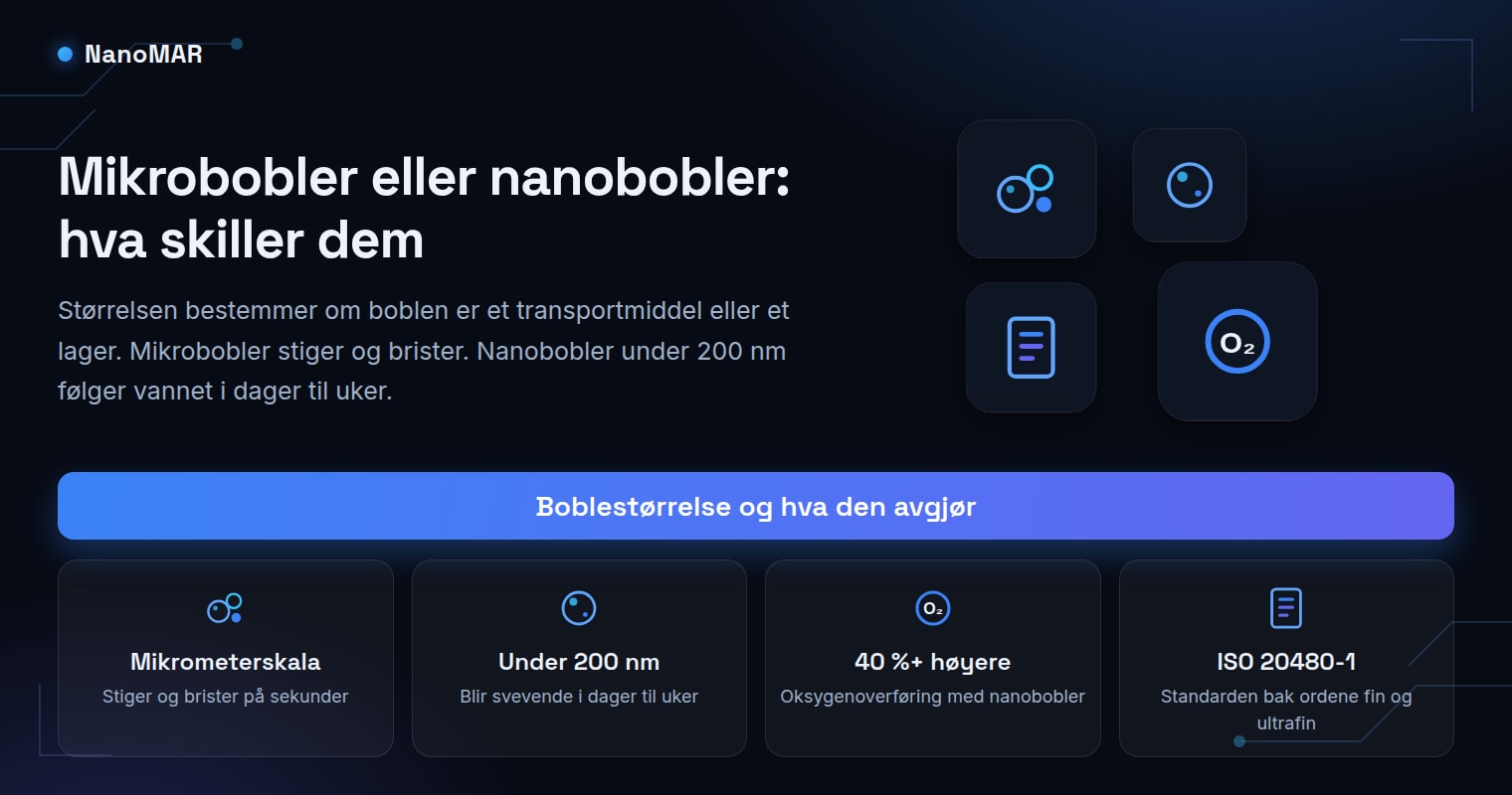 Mikrobobler eller nanobobler: hva er forskjellen, og når passer hver?